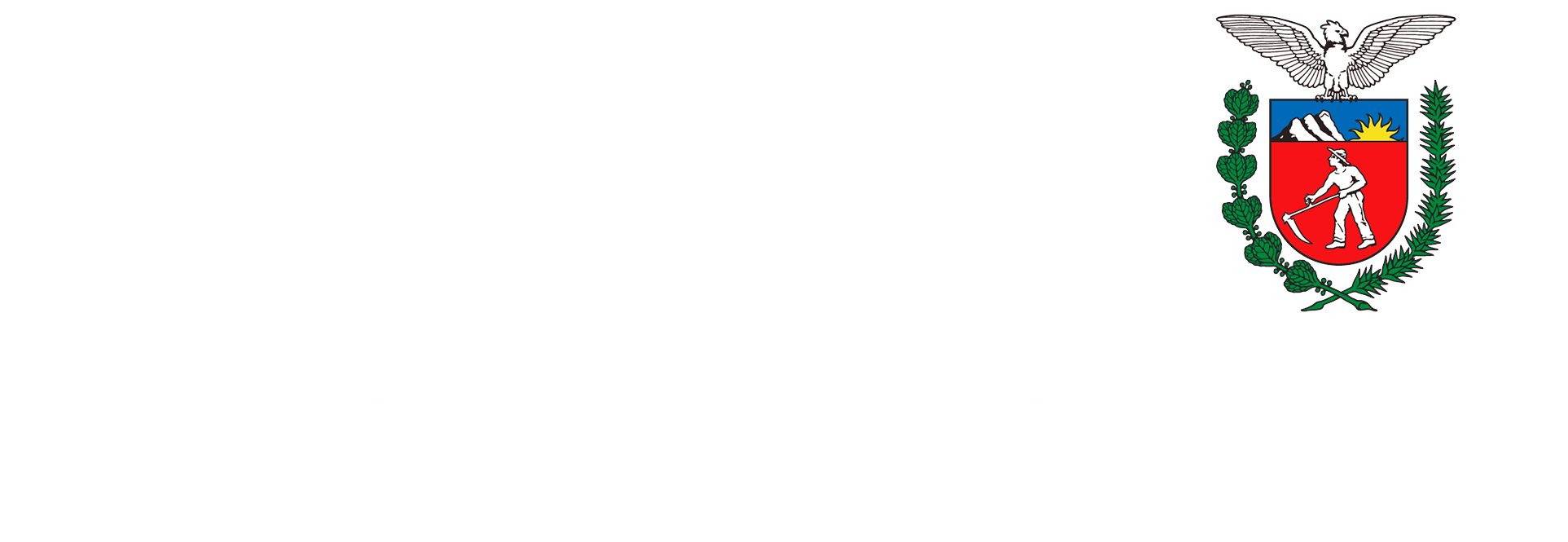 logo conselho estadual esporte